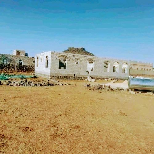 Brown and white sneaker